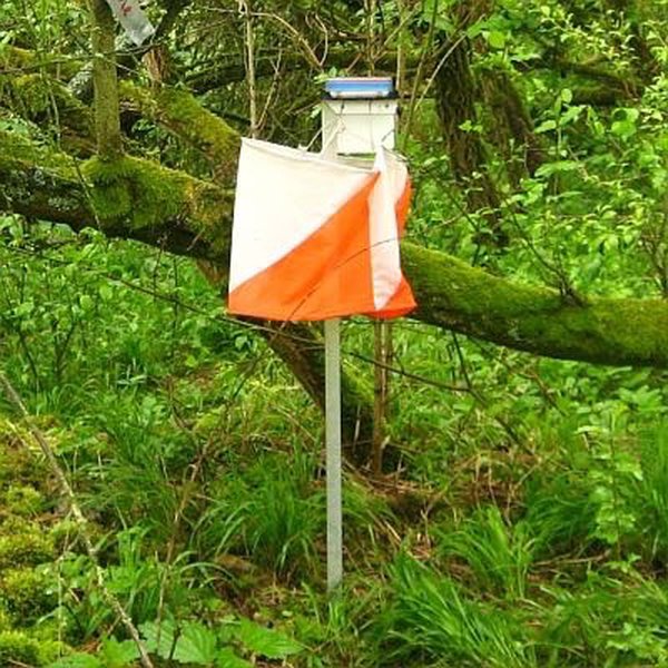 Orienteering